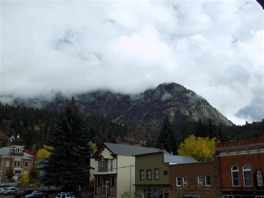 GARY 🥹🫶 u can get his sillysaurs coloring book at link in bio (artfairapparel.com) & follow his work on insta @artfairapparel (tagged in @ArtFair Apparel bio!) 🥹 Gary originally made this coloring book back in the 90s and he is so very excited to share it with you all on social media! He drew everything himself and created a little limerick to go with each dinosaur! he is also a biologist, author and illustrator! I met Gary awhile ago here in Colorado with my partner, and I started this small