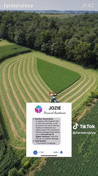 Wrapping Wet Hay for Dairy Cows: A Simple Guide