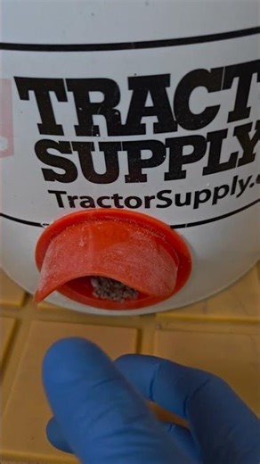 Upgraded the brooder feeder to a 30‑lb bucket setup.