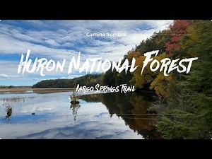 Huron National Forest in Michigan - Iargo Springs Trail [4K]