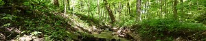 Toms Run Nature Reserve - Western Pennsylvania Conservancy