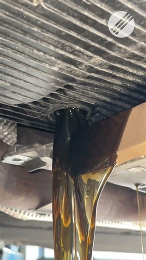 Gear oil or Engine oil?