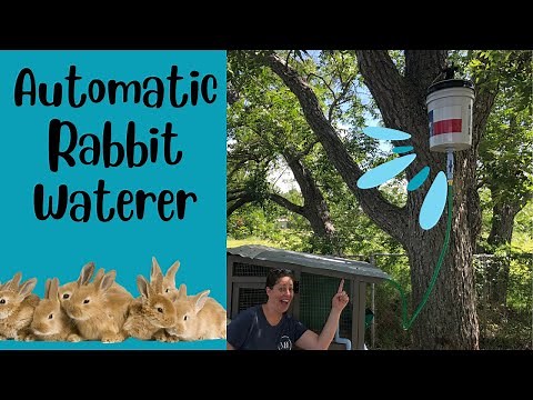 EASY Gravity Fed Waterer (For Rabbits)
