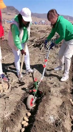 #amazingmachinery #foodproduction #agriculture #machinerychannel #foodbusiness