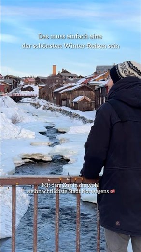 Train to Norway 🇳🇴 Route to Røros for further travel information #trainjourney #norway