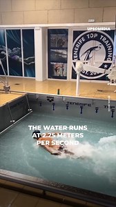This pool is one of the most demanding when it comes to training, pushing the swimmers' endurance and speed to the limit... | The Cracks