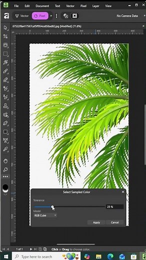 Remove Coconut Tree Background in 10 Secs! 🌴✨ ( Free Affinity Studio) #affinityphoto