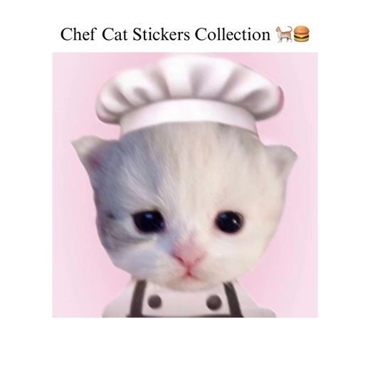 Stickers de Gato Chef por un Artista Digital
