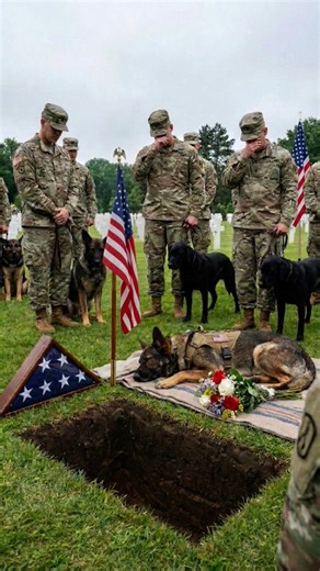 He Served With Loyalty... His K9 Brothers Saluted Him One Last Time 💔🇺🇸