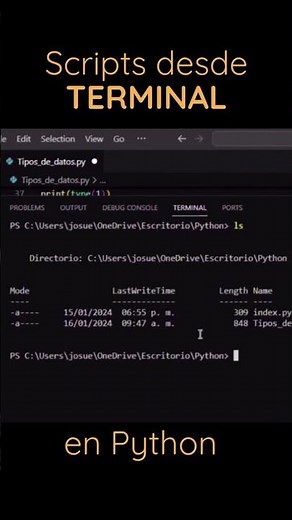 La mejor forma de ejecutar Scripts #python #terminal #aprenderpython #programación