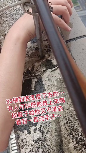 他到底怎麼下去的⋯⋯#上推薦 #貓咪 #32樓