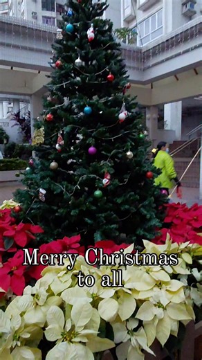 Hello my dear family, friends, followers,mon followers and morst of all my Subscribers....MERRY CHRISTMAS TO YOU ALL😘 #SUBSCRIBERS #followers #highlights | Bies Lola