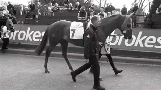 The MVRC has 🔒 in a Group 1 winner for the $1 million Ladbrokes Supernova at Southside Pakenham on December 13 💫 | Moonee Valley Racing Club