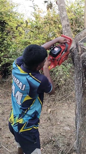 Small tree felling techniques