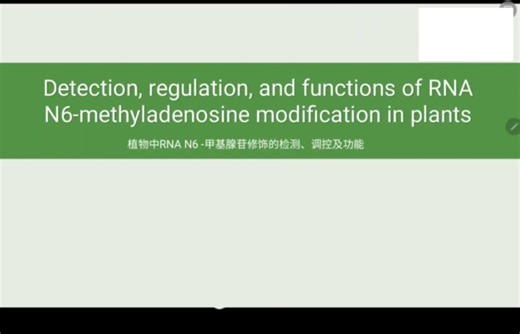 植物表观遗传-RNA甲基化之m6A修饰(七零八落版)