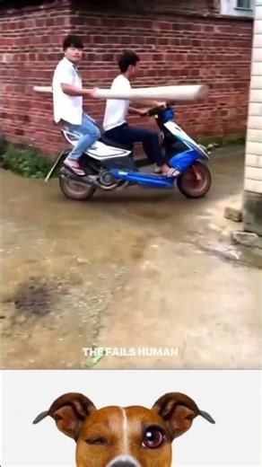 top Ranking best human fails 🤣#funny moment 💯#shorts