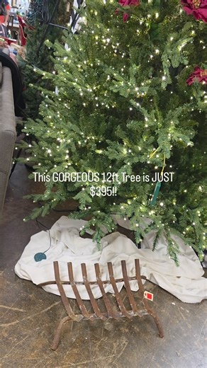 Rega of Paris Home Consignment Gallery on Reels