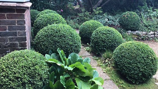 Innovative garden designer and Chelsea gold medallist Ann-Marie Powell of ann-marie powell gardens takes us on a tour of her personal garden, showing us her favourite evergreens that are brilliant investments as they bring colour to her garden all year round. Shop for evergreens at RHS Plants: https://www.rhsplants.co.uk/?utm_source=social&utm_medium=organic&utm_campaign=yearroundcolour #GrowAtHome | RHS - Royal Horticultural Society