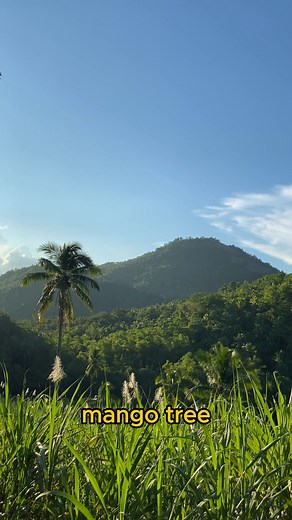 23K views · 712 reactions | FINAL DESTINATION #biking #exercise #nature #bikelife #travel | Danila Abramenkov | Facebook