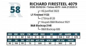 Lot 58: Richard Angus Ranch - Annual Angus Bull Sale