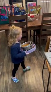 'AMEN': Video of adorable toddler telling family dogs to 'say grace' before giving them food goes viral. https://trib.al/03Z2fjG | Fox News
