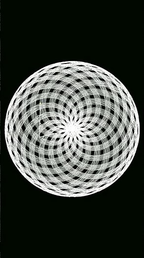 Why Pi is irrational #maths #math #visualization