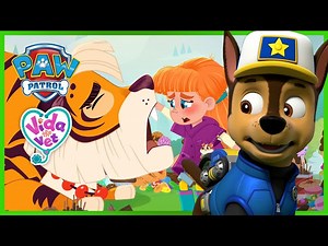 AMAZING ANIMAL RESCUES! - PAW Patrol & Vida the Vet Compilation - Cartoons for Kids - Videos For Kids