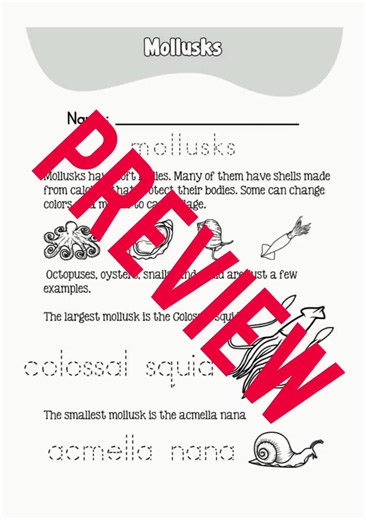 Engaging Science Worksheets for 1st, 2nd, and 3rd Grade! - Etsy