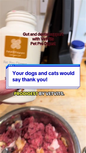 I use this daily to support my dog’s gut and dental health. Probiotics are a fabulous addition to your pets diet. #vetvits #petprodigest #caninedigestion #dogsotiktok #tiktokmademebuyit