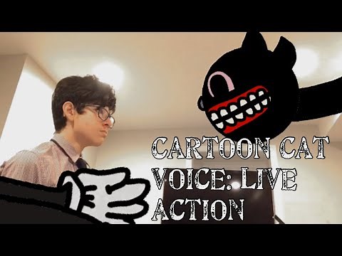 Cartoon Cat Voice: Live Action