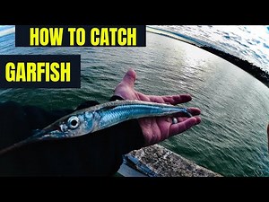 How to catch GARFISH aka mini marlin