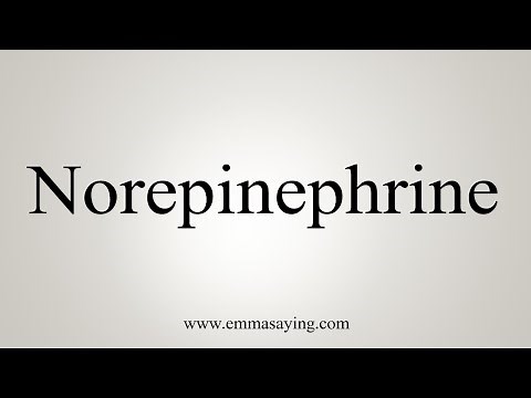 How To Say Norepinephrine