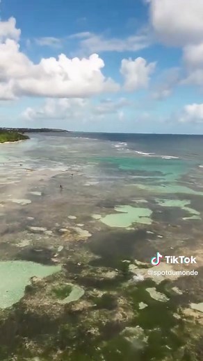 la magnifique plage de Bois Jolan Guadeloupe #guadeloupe #guadeloupe971 #boisjolan #sainteanne #guadeloupetourisme #djiavata #dronefpv #dronevideo