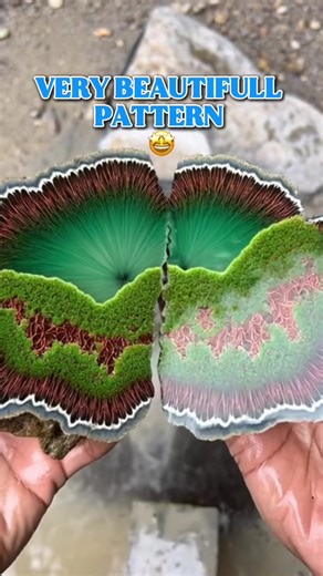 This stone has an exotic tropical landscape pattern🤩😱🔥 #lapidary #gemstone #minerals #Ai