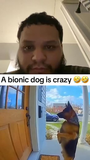A bionic dog is crazy work 🤣🤣 imagine this happen to you how you gome react? #dog #bionics #ai #viral #sora #powers #comedy #comedyvideo | NorthPhilly Ant