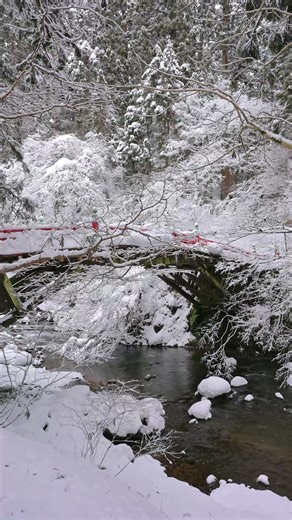 雪景色の羽黒山2026 #hagurosan #snow #shorts