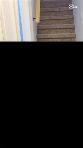 haidary (@aminhaidary)’s videos with original sound - haidary