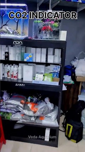 CO2 Indicator | How to provide accurate CO2 for your planted aquarium | #glass monitor #short #beta