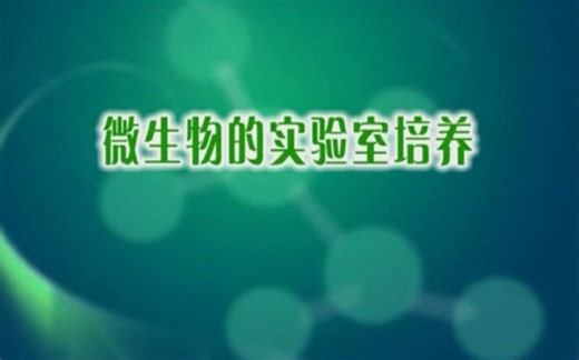 制备牛肉膏蛋白胨固体培养基（牛肉膏蛋白胨培养基的制作）