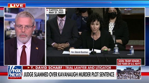 Lawyer calls sentencing of Kavanaugh’s would-be assassin ‘very sad’
