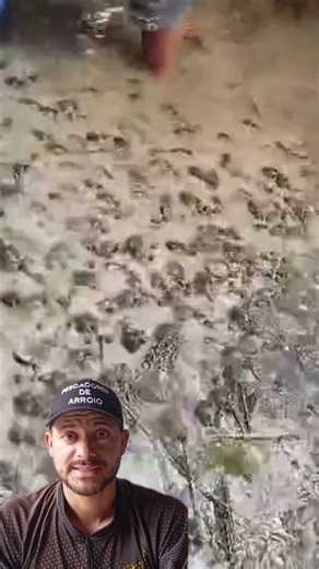 Amazing number of turtles! #fishing