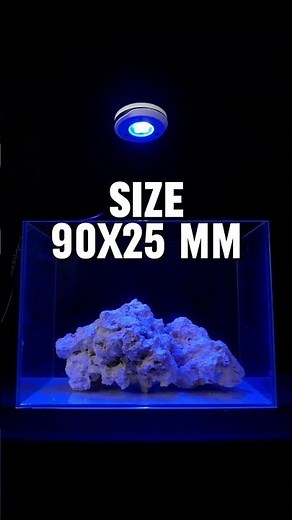 JAVA AQUA SP 20 - COCOK BUAT NANO TANK KALIAN! #nanotank #reeftank #marine #marinetank