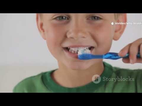 Brush It Right, Shine So Bright! Toothbrush Party 3D Animation