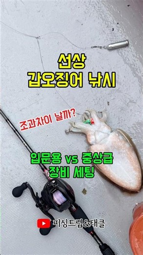 선상 갑오징어 낚시 | 입문용 vs 중상급 장비 세팅 #갑오징어낚시 #선상갑오징어낚시 #선상갑오징어장비 #입문용 #중상급용 #비교