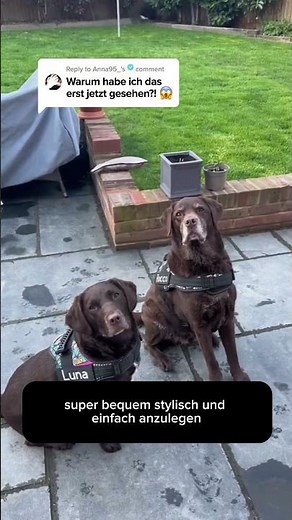 Personalisierbares Anti-Zug Hundegeschirr | Verstellbar & Hochwertig | für Kleine & Große Hunde