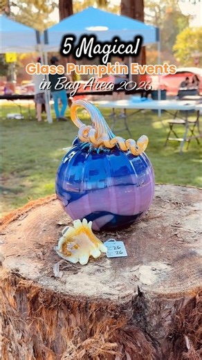 5 Glass Pumpkin Patches to Visit in Bay Area 🎃✨| Fall 2026 #pumpkinpatch #pumpkinseason #bayarea