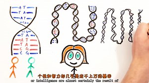 Asap Science秒懂科普:我们能