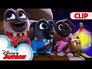 The Magic of Christmas 🎶 | Music Video | Puppy Dog Pals | ‪@disneyjr‬