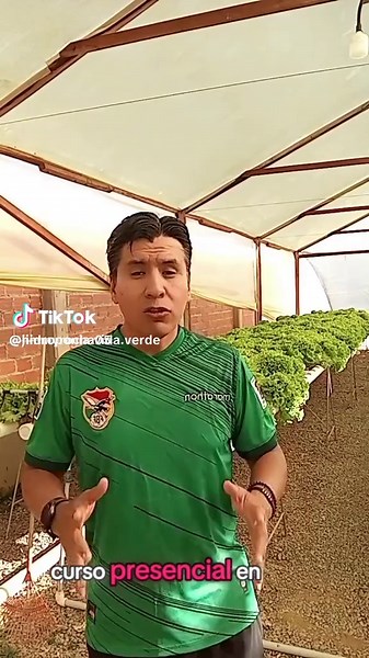 #cursobasicodehidroponia#hidroponia#cursodecapacitacionñ#practicohidroponia#invernaderos#hidroponiavidaverde#vidaverde@Jimmy Rocha @Tamy@Freddy Ribera105