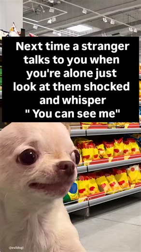 Official Evil Dog on Instagram: "🤣😂 Follow for daily evil & hilarious memes ⭐ Official Evil Dog Meme Page Merch in my bio evildogofficial.com (Dark thoughts, don’t take the post seriously)"